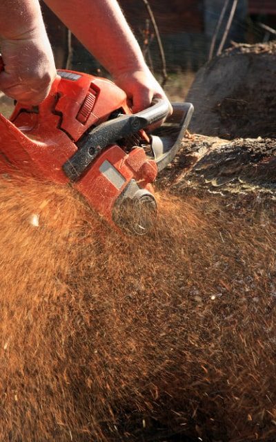 tools-img-saw-1 tools-img-saw-1